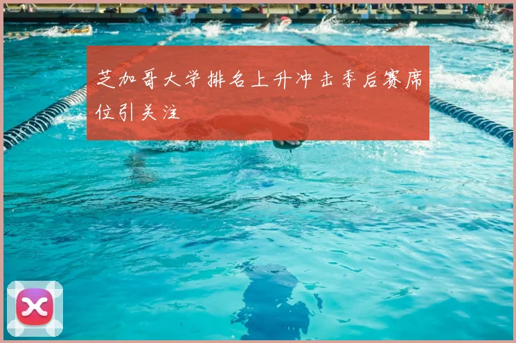 芝加哥大学排名上升冲击季后赛席位引关注