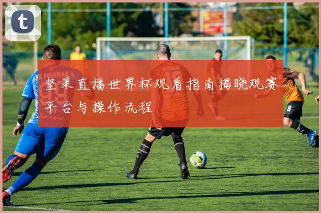 坚果直播世界杯观看指南揭晓观赛平台与操作流程