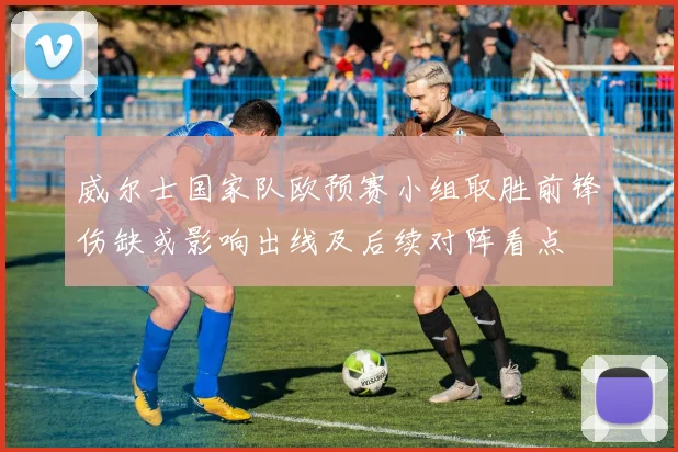 威尔士国家队欧预赛小组取胜前锋伤缺或影响出线及后续对阵看点