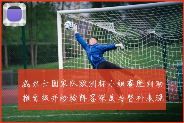 威尔士国家队欧洲杯小组赛胜利助推晋级并检验阵容深度与替补表现