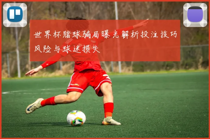 世界杯赌球骗局曝光解析投注技巧风险与球迷损失