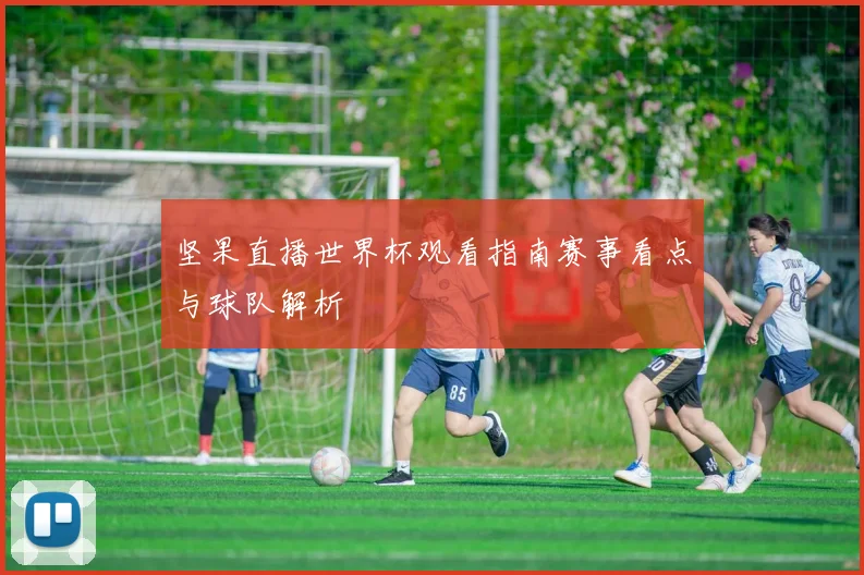 坚果直播世界杯观看指南赛事看点与球队解析